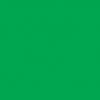 Green Solid Coloured Flag
