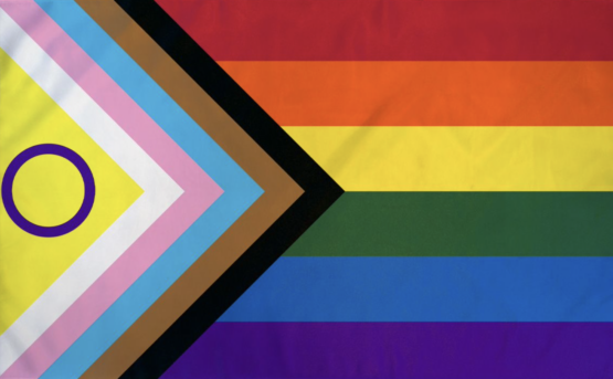 Intersex Progress Woven Polyester Flag