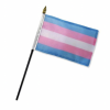 Transgender Table Flag