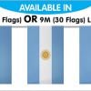 String Bunting Flags Argentina