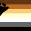 Bear Gay Pride Flag