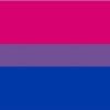 Bi Sexual Pride Flag
