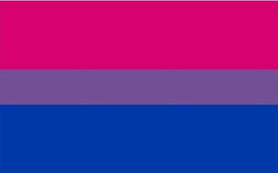 Bisexual Flag Pride - 150 x 90cm