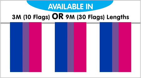 Bisexual Bunting Flags 3M - 10 Flags