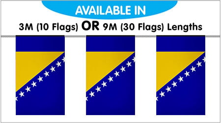 Bosnia Herzegovina Bunting Flags 3M - 10 Flags