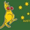 Boxing Kangaroo Flag