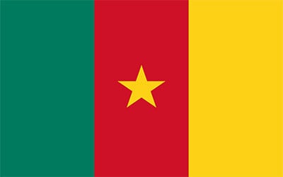 Cameroon National Flag 150 x 90cm
