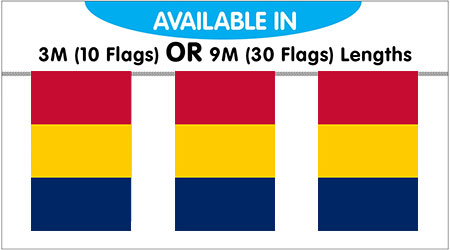 Chad Bunting Flags 3M - 10 Flags