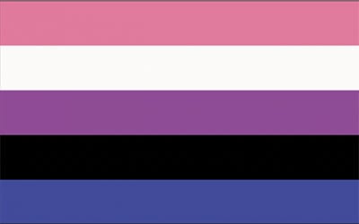 Genderfluid Pride Flag - 150 x 90cm