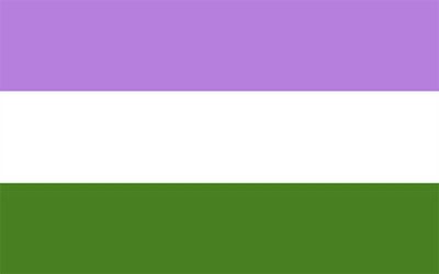 Genderqueer Pride Flag - 150 x 90cm