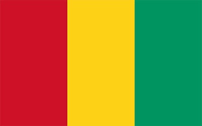 Guinea Flag 60 x 90cm