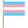 Transgender Hand Waver Flag