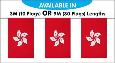 Hong Kong Bunting String Flags 3M - 10 Flags