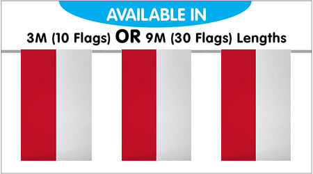 Indonesia Bunting String Flags 3M - 10 Flags