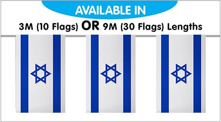 Israel Bunting String Flags 3M - 10 Flags