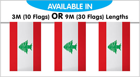 Lebanon Bunting String Flags 3M - 10 Flags