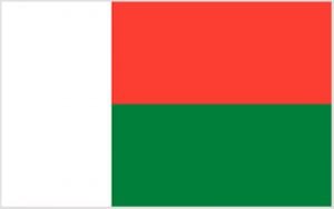 Madagascar Flag 60 x 90cm