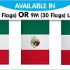 String Bunting Flags Mexico