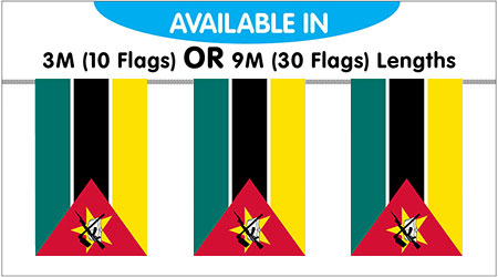 Mozambique Bunting String Flags 3M - 10 Flags