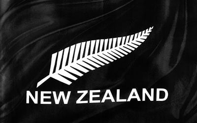 New Zealand Fern XL Flag 243 x 152cm