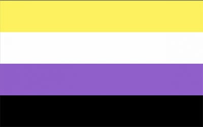 Non Binary Pride Flag - 150 x 90cm