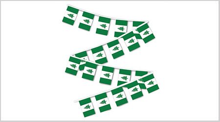Norfolk Island Bunting Flags - 9M 30 Flags