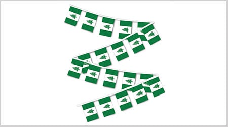 Norfold Island String Bunting Flags