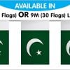 String Bunting Flags Pakistan