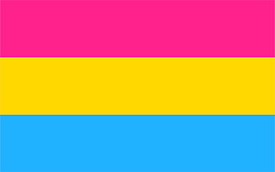 Pansexual Pride Flag - 150 x 90cm