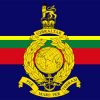 Royal Marines Core Flag