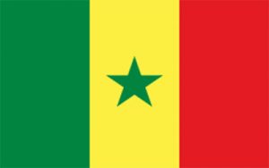 Senegal Flag 60 x 90cm
