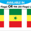 Senegal String Bunting Flags