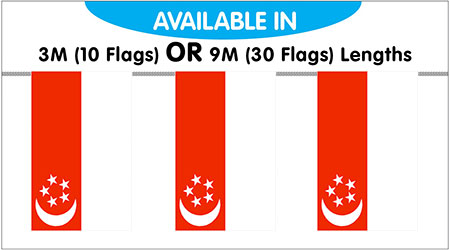 Singapore Bunting String Flags 3M - 10 Flags