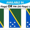 String Bunting Flags Soloman Island