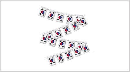 South Korea Bunting Flags
