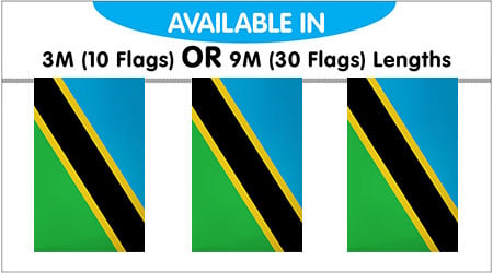 3m long with 10 Flags Tanzania Polyester Flag Bunting 