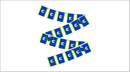 Torres Strait Bunting Flags - 9M 30 Flags