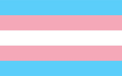 Transgender Pride Flag - 150 x 90cm