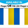 Ukraine String Bunting Flags