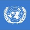 United Nations Decal Flag Sticker