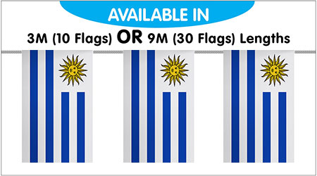 Uruguay Bunting String Flags 3M - 10 Flags
