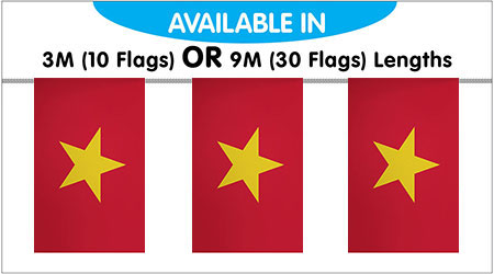 Vietnam Bunting String Flags 3M - 10 Flags