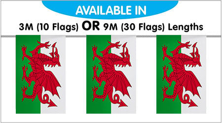 Wales Bunting String Flags 3M - 10 Flags