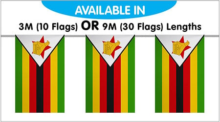 Zimbabwe Bunting String Flags 3M - 10 Flags